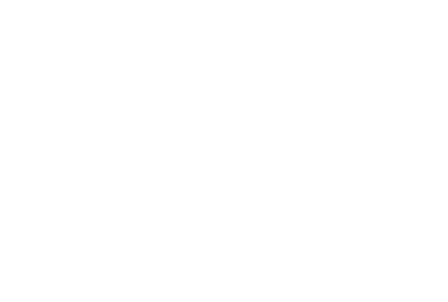 Logo Giuliani Investigazioni