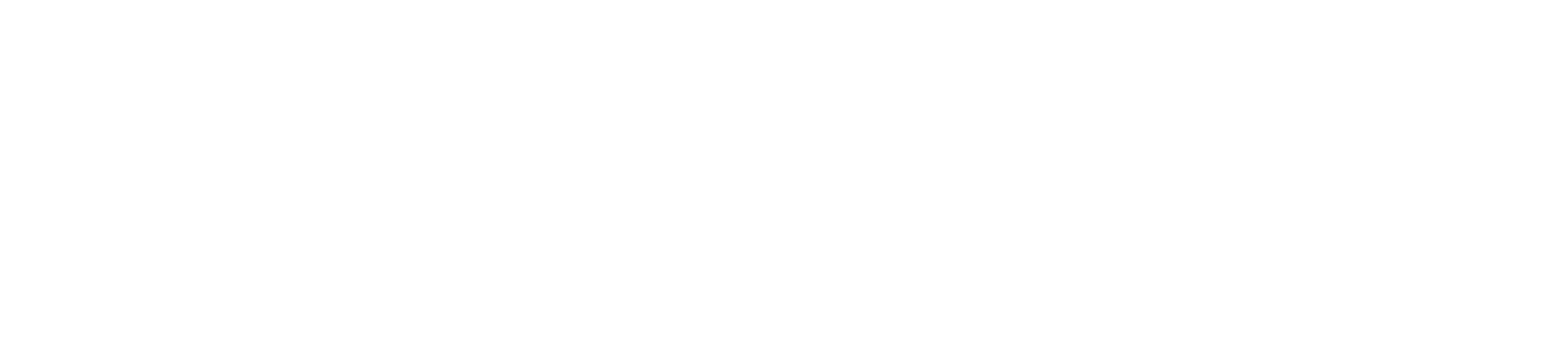 Partner Progetto