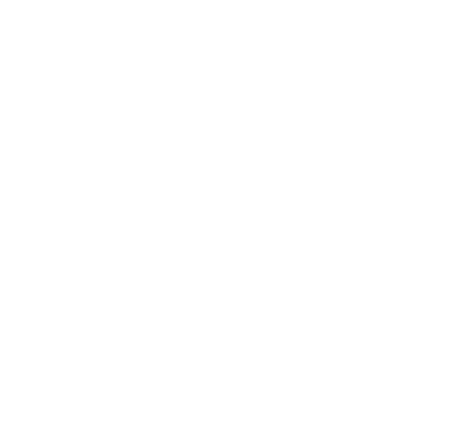 Evoluzione digitale al tempo dei Social